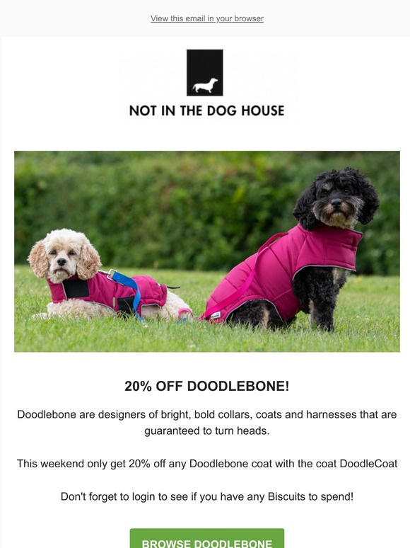 doodlebone coats