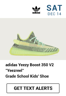 yeezy boost 350 hibbett sports