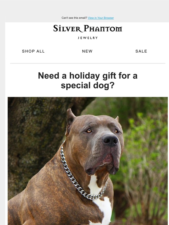 silver phantom dog collar