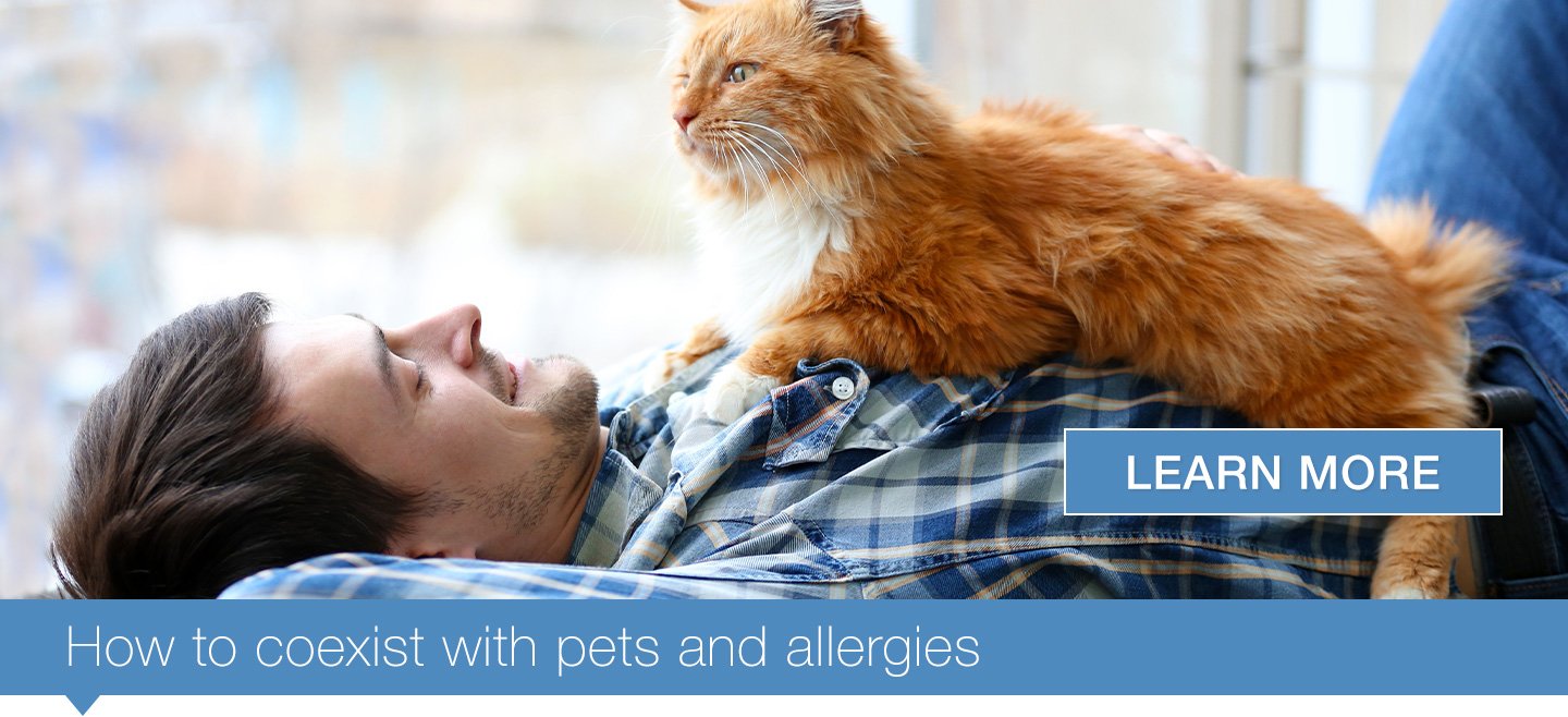 How to coexist with pets and allergies