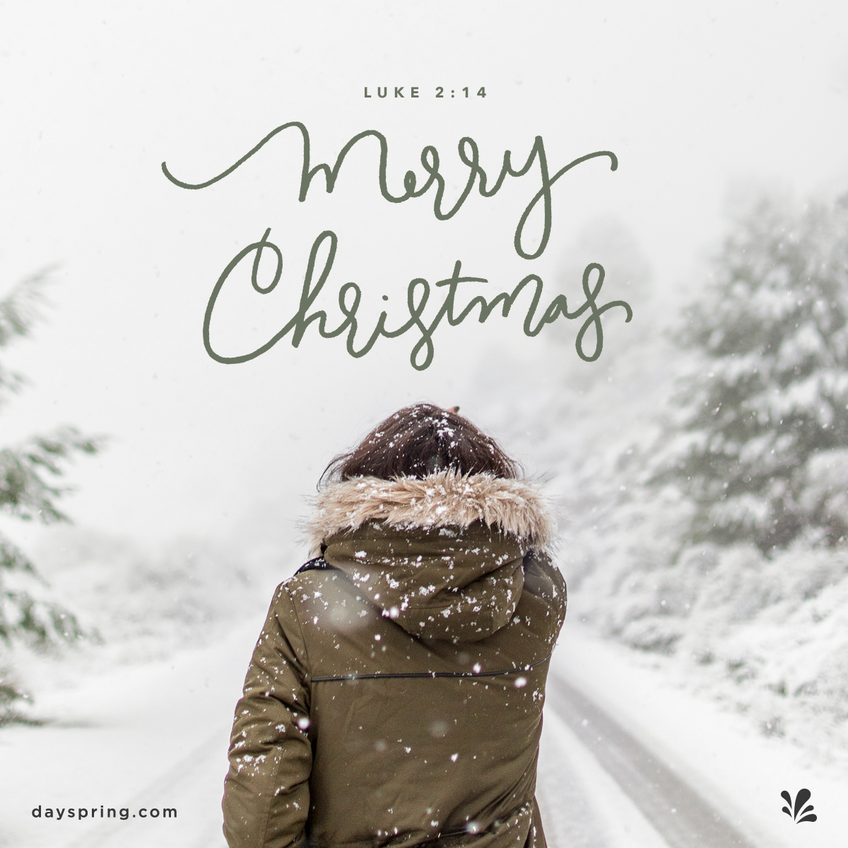 DaySpring: Celebrate the Season with a Free Christmas Ecard | Milled DaySpring: Celebrate the Season with a Free Christmas Ecard | Milled