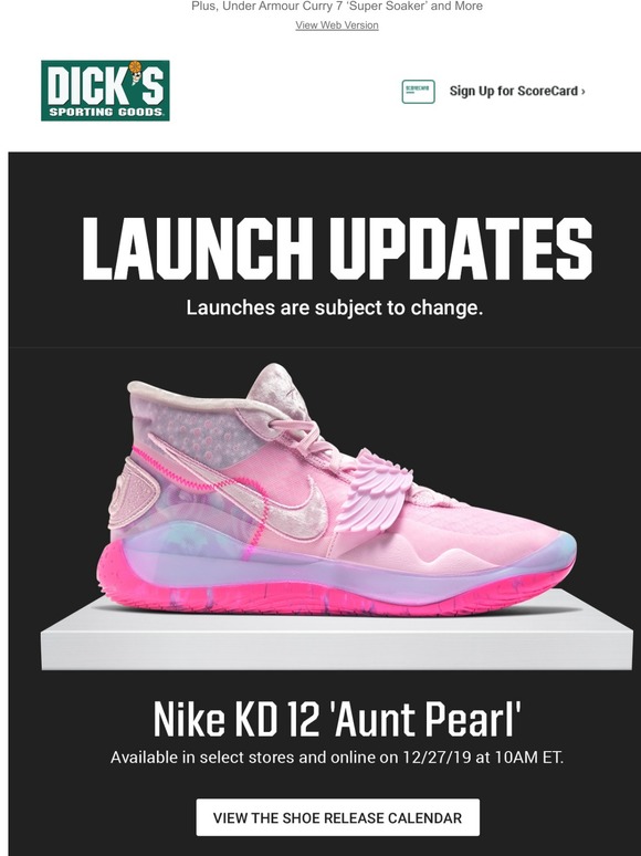 kd shoes dicks