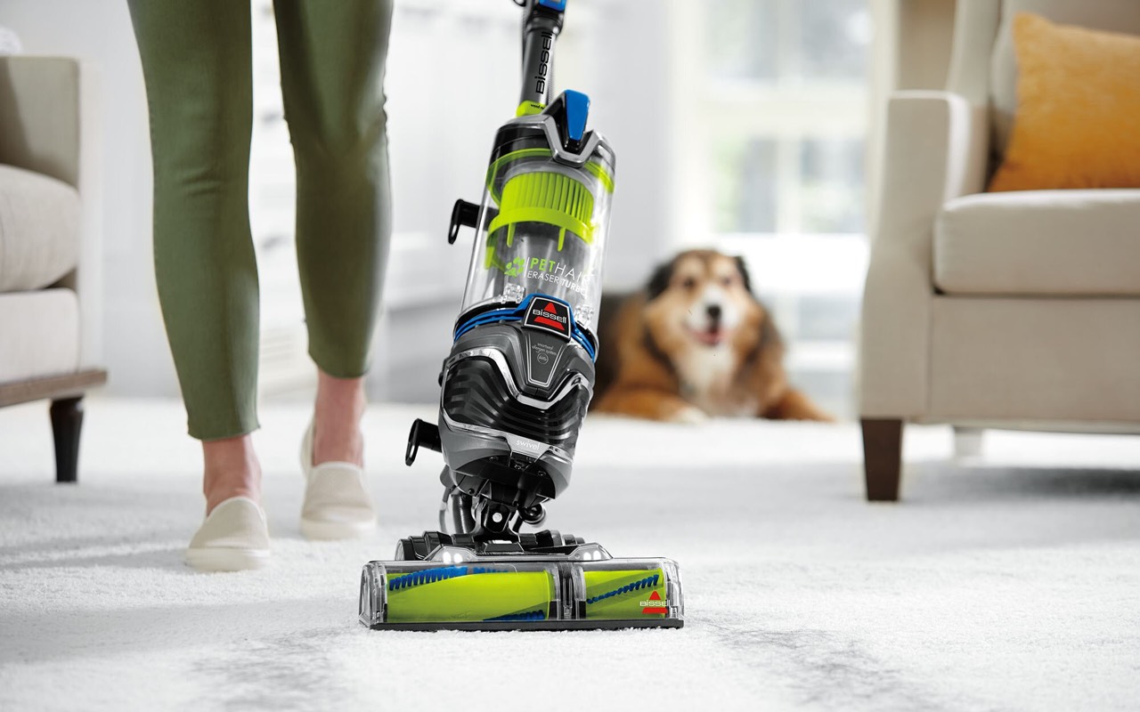 pet supplies plus bath coupons