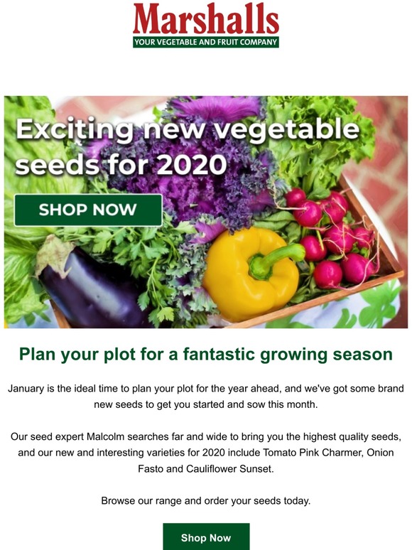 marshalls seeds Exciting new seed varieties for 2020 Milled