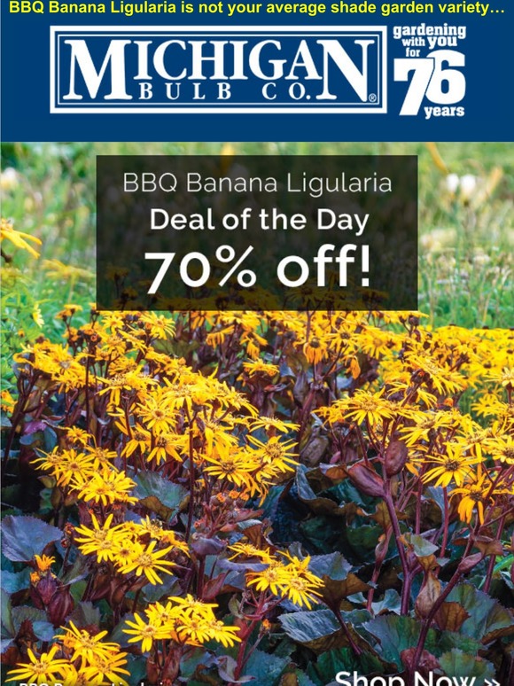 70 off! A shade plant you haven’t seen. Milled