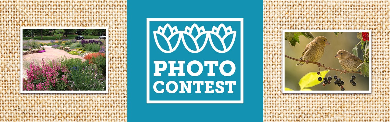 High Country Gardens: Pre-Planned Gardens Are Back & Better Than Ever