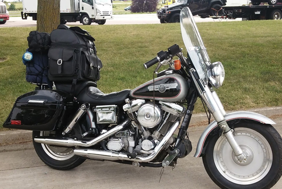 viking sissy bar bag