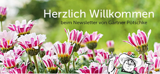 Pötschke Garten und Pflanzen Versand 🌼 Herzlich Willkommen beim