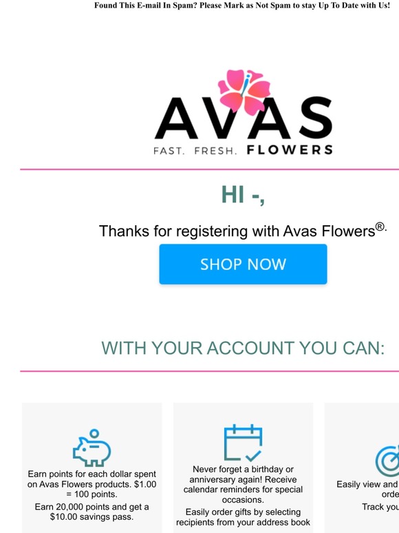 -here's your Avas Flowers account info!