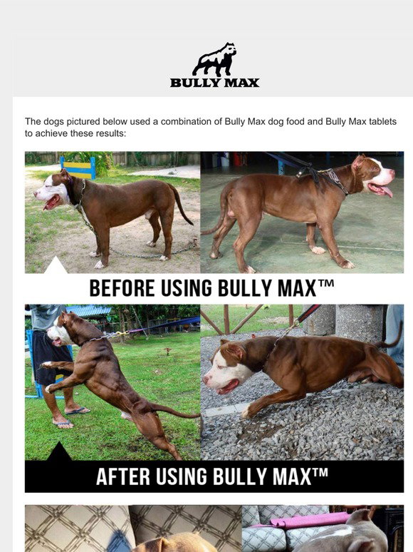 20 Dogs that Use Bully Max - Results You Have to See to Believe! - Bully Max