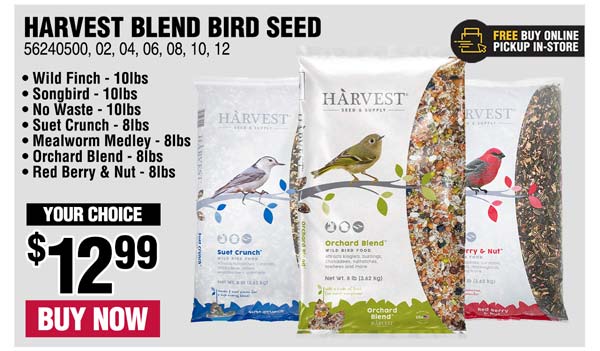 bird seed rural king