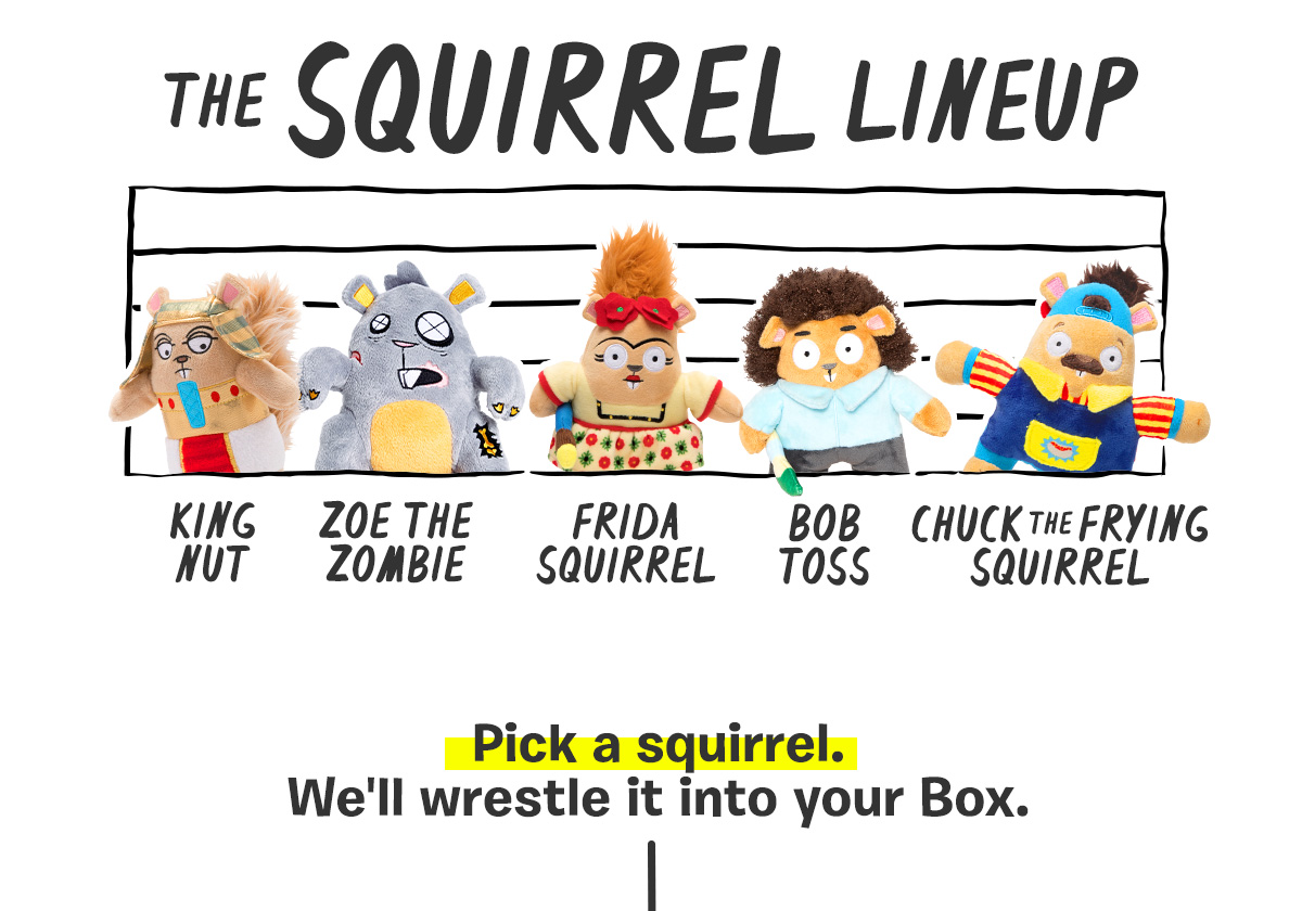 barkbox squirrel