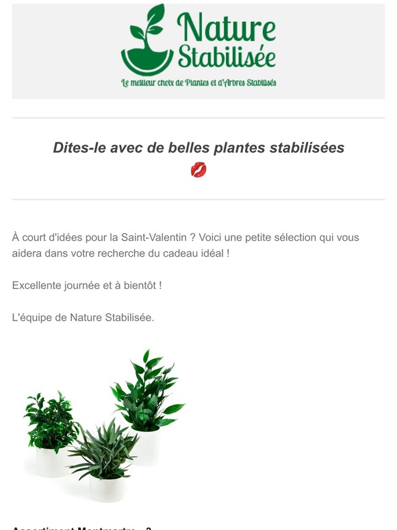 🌿 Saint-Valentin J-17 🌱