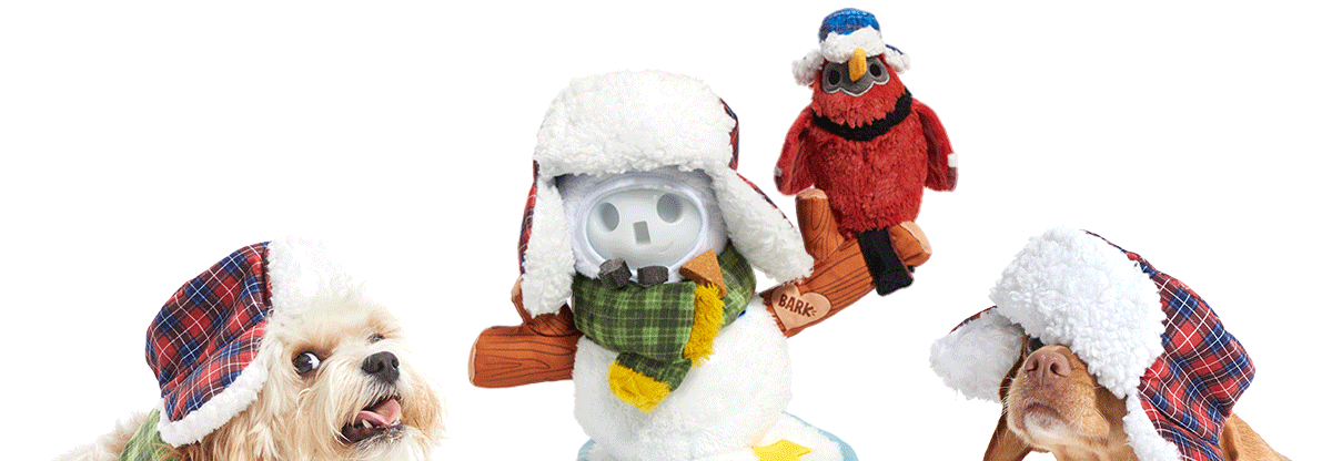 barkbox snowman