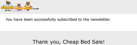 Newsletter subscription success