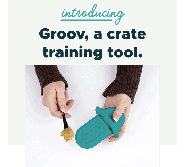 Diggs Pet Introducing Groov Milled