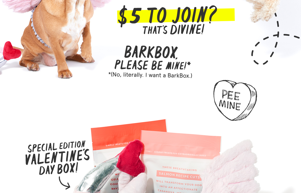 valentines day barkbox