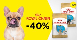 Royal Canin: -40% на 2-й сухой корм для собак