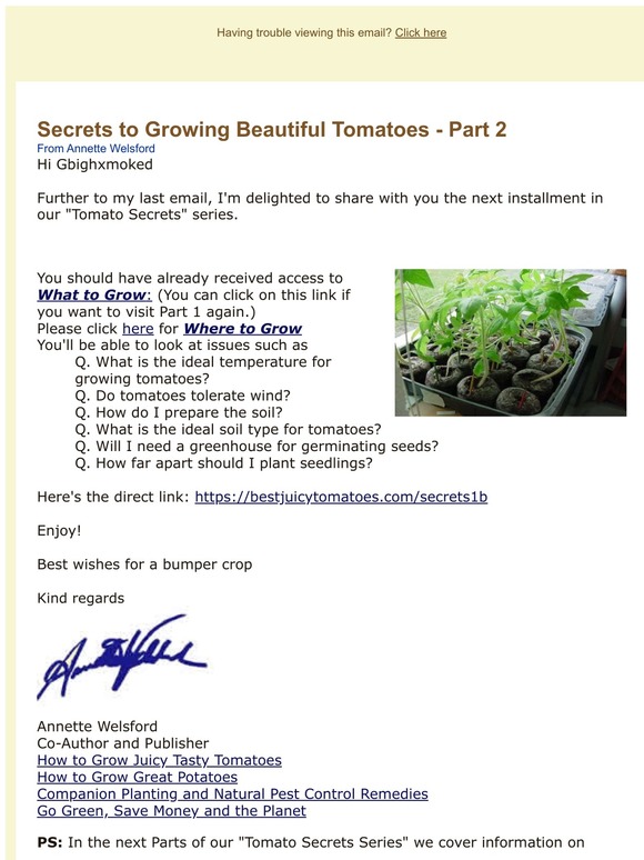 Secrets to Growing Beautiful Tomatoes Part 2 -