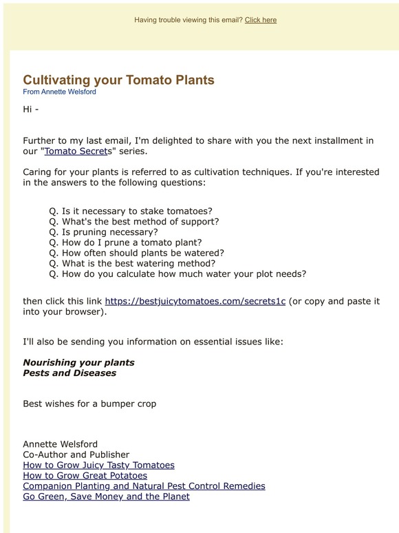 The secrets to cultivating your tomato plants -