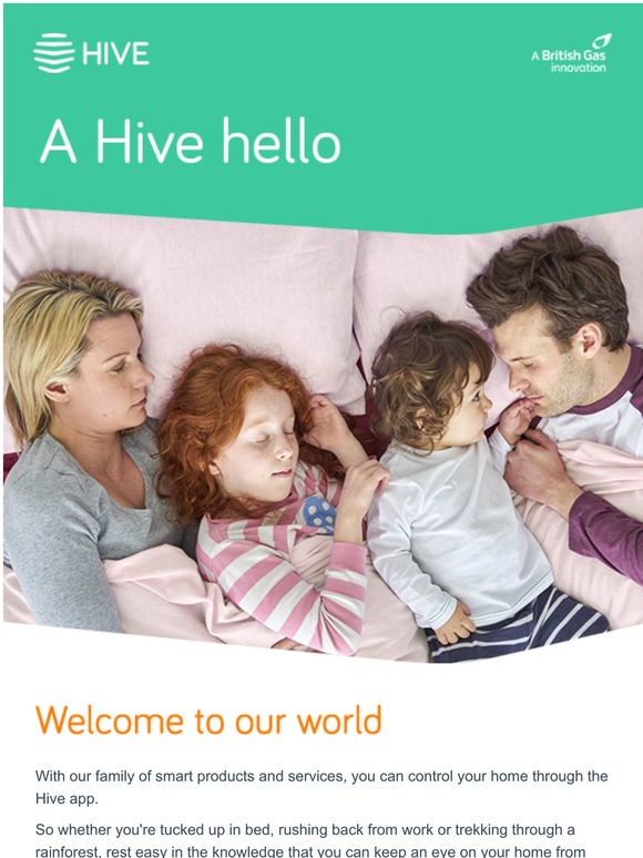 Welcome to the world of Hive