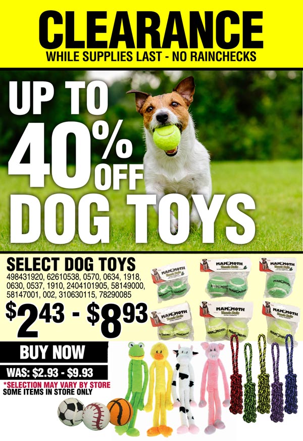 clearance dog supplies