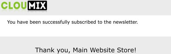 Newsletter subscription success