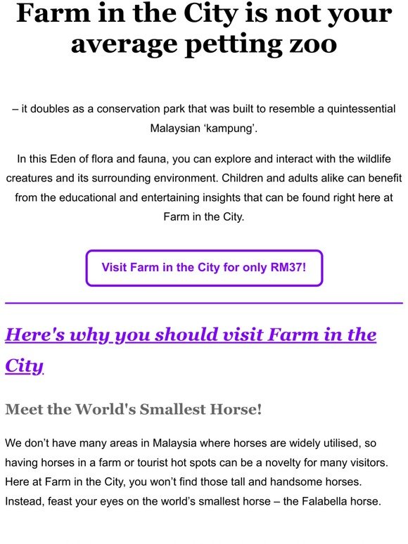 An Educational AND Fun Experience at Farm in the City!