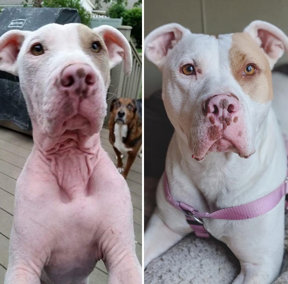 jax n daisy discount code