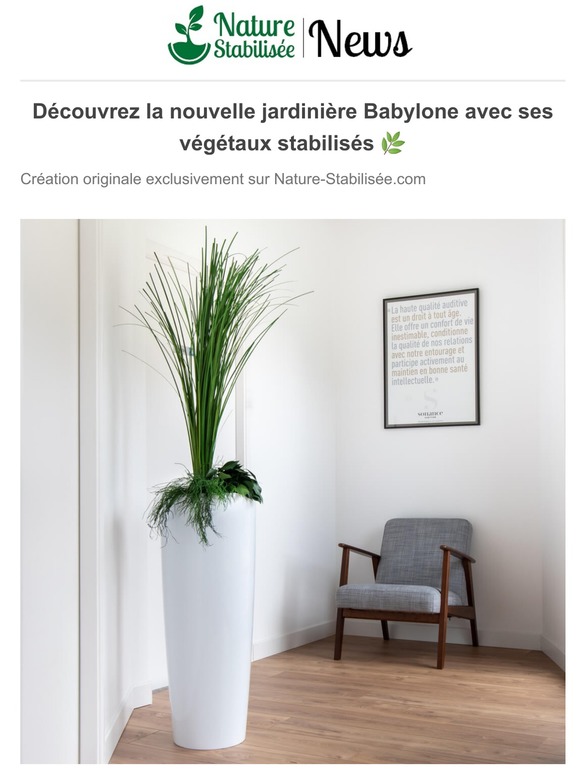 Nous avons une nouvelle création pour votre déco 🌿🌴🌱 La Jardinière Babylone