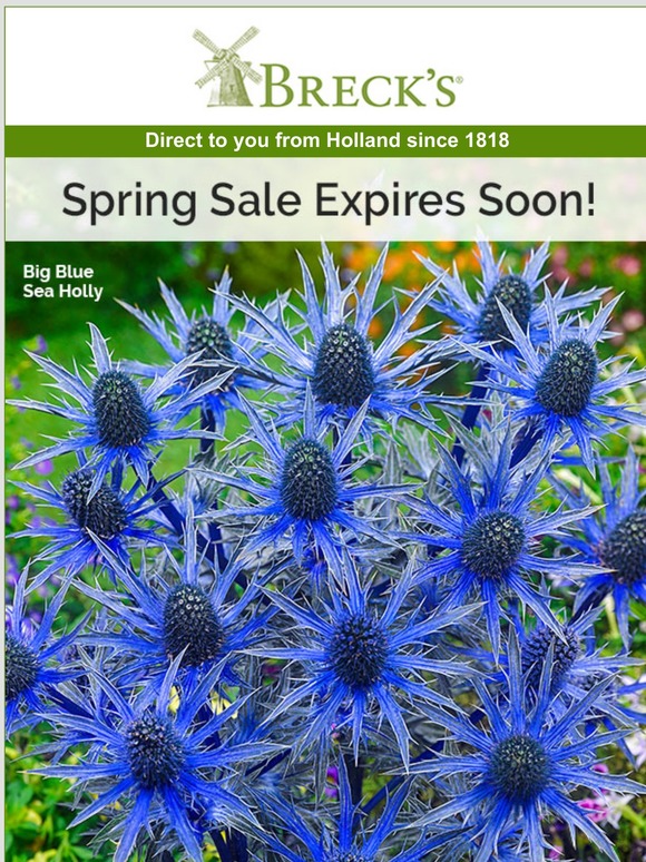 Breck's Spring Sale Ends Friday! Milled