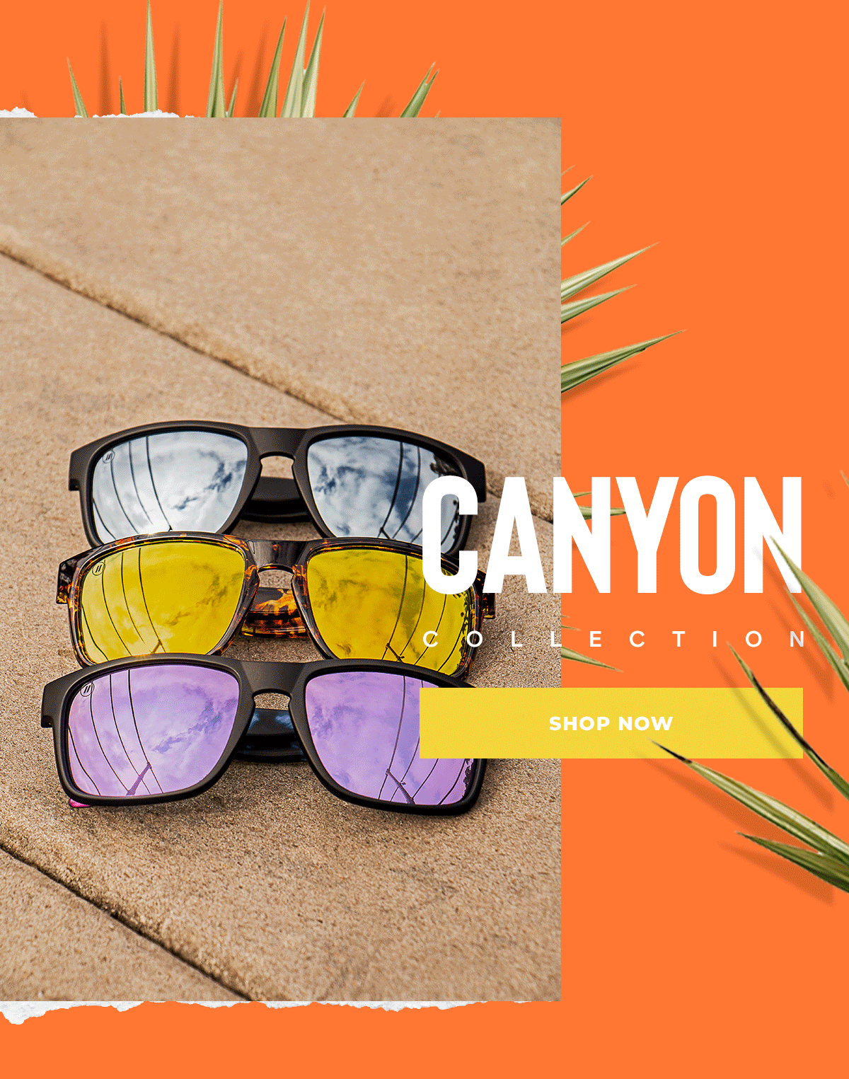 Blenders Eyewear Canyon Collection Gets Fresh For Spring… 👀 // Milled