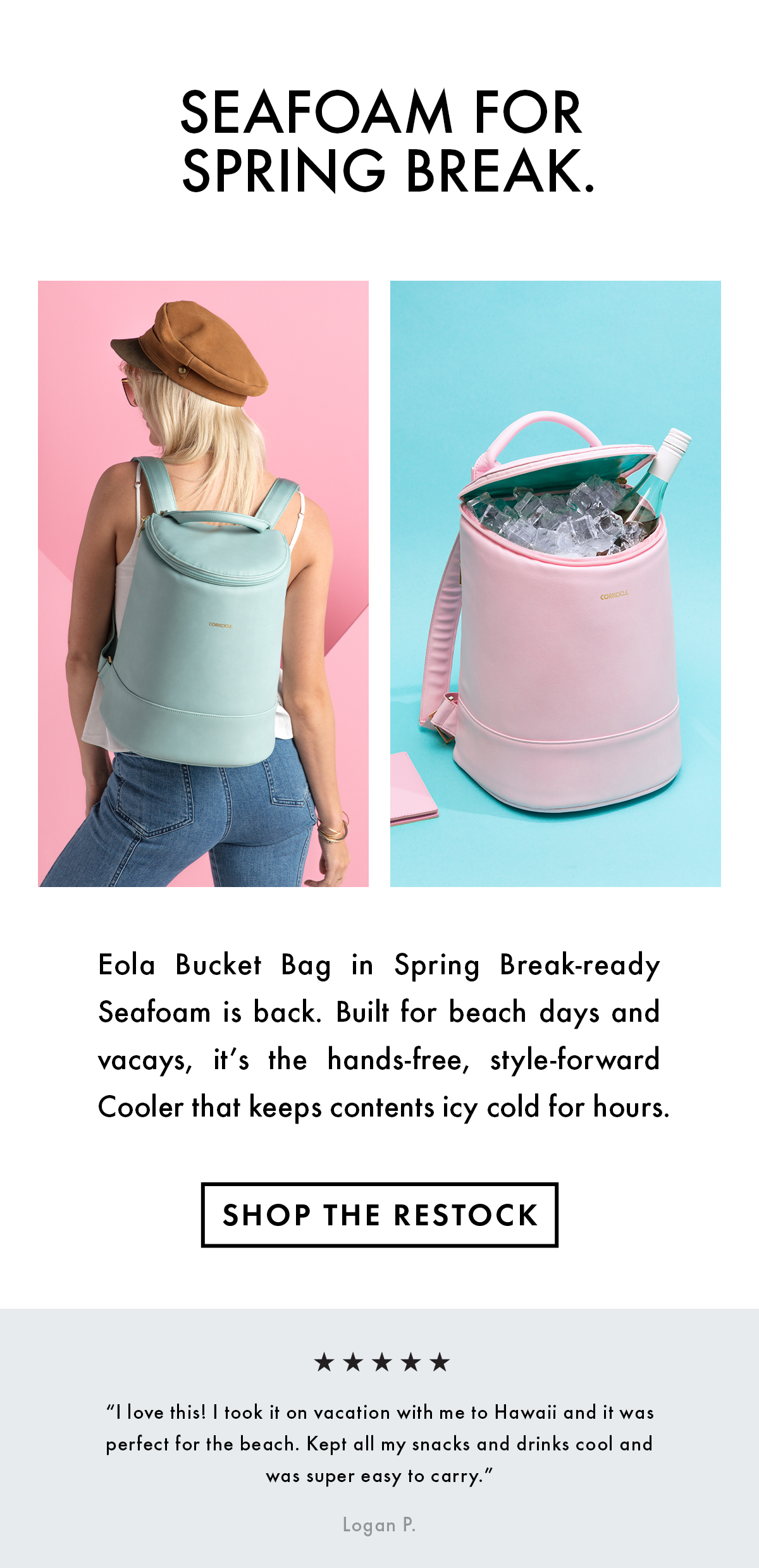 corkcicle eola bucket bag cooler stores