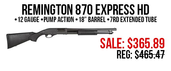 Remington 870 express shotgun for sale at Impact Guns