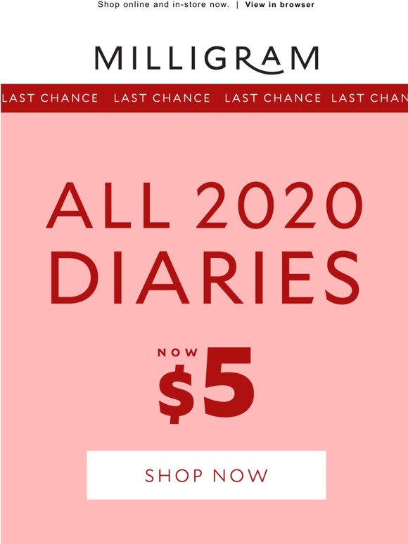 All 2020 Diaries now $5!