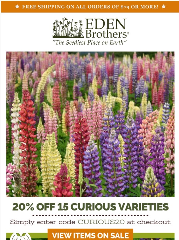 Eden Brothers Seed Company 20 Off 15 Unfamiliar & Underrated Varieties Today! Milled