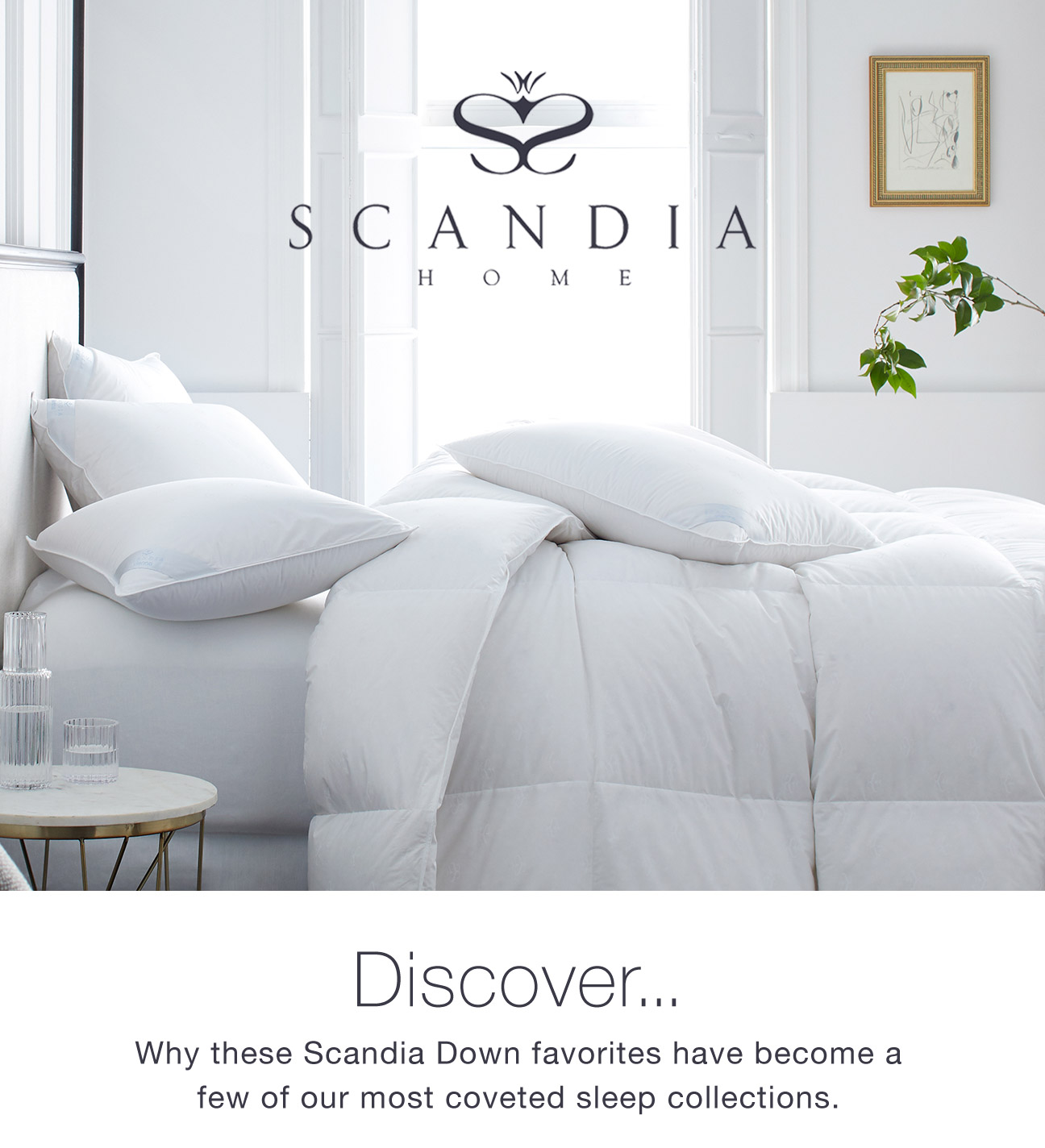 Scandia Home Discover Our Most Coveted Sleep Collections Milled
