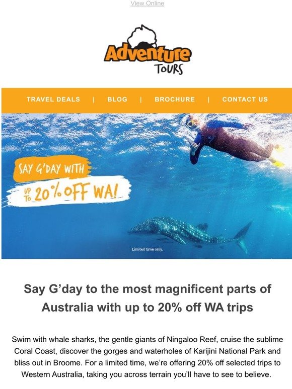 -fancy swimming with whale sharks on Ningaloo Reef?