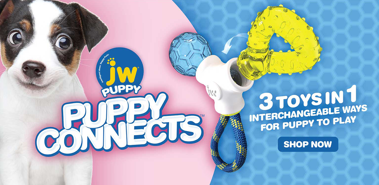 jw puppy connects