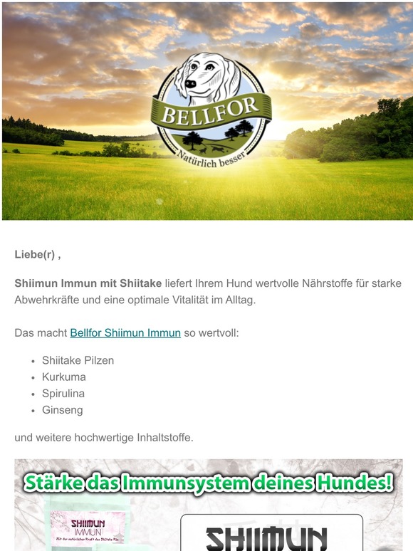Stärken Sie JETZT das Immunsystem Ihres Hundes - mit Bellfor Shiimun Immun!