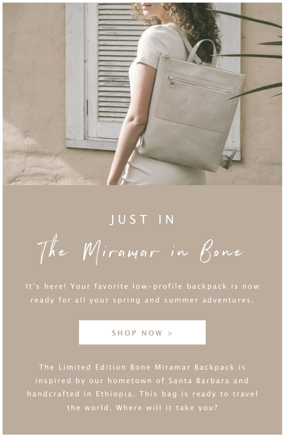 parker clay miramar backpack