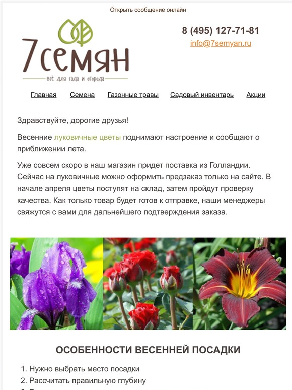 Магазин Цветов Семена Луковицами Магазин Цветов Семена Луковицами