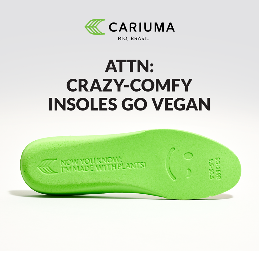 vegan insoles