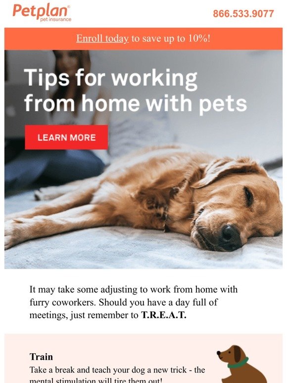Tips for working from home with your pack
