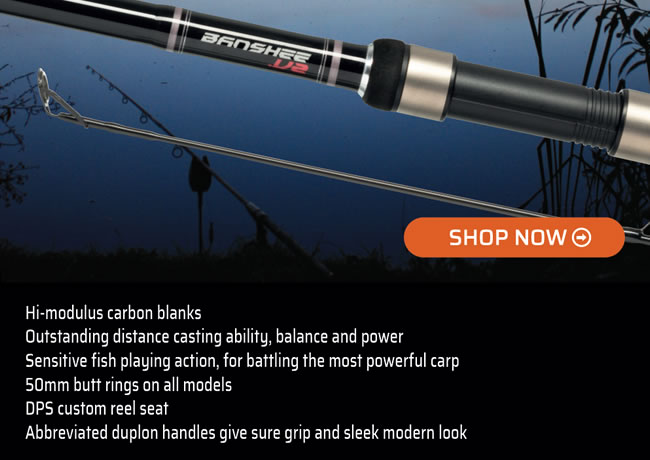 carp rods buy 2 get one free