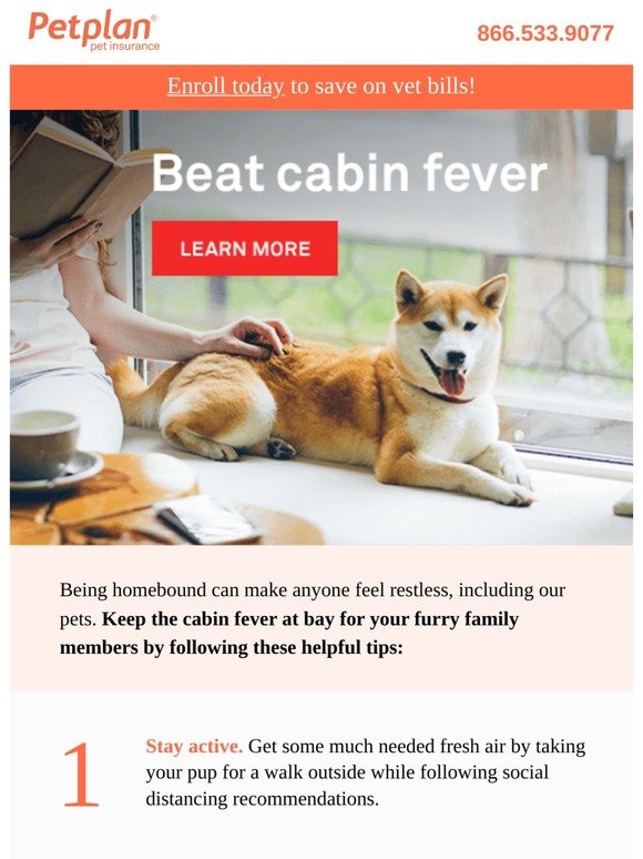 3 ways to beat cabin fever with your pet...