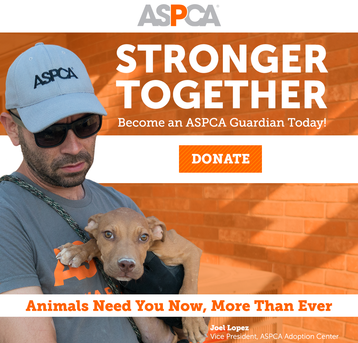 Aspca Right Now We Need You With Us Milled