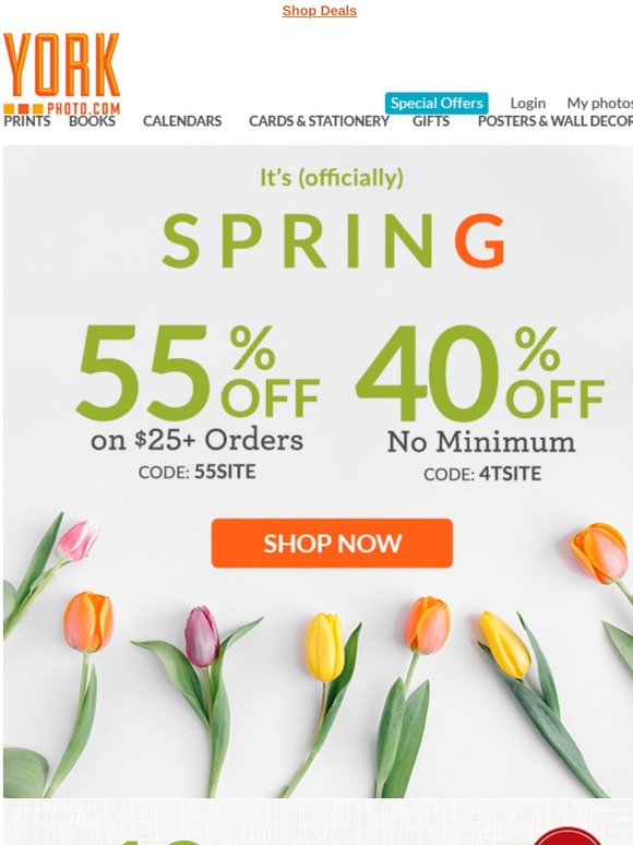 40% Off Sitewide--No Minimum, $18 Blankets + Mugs and Books from $4...Hop to it!