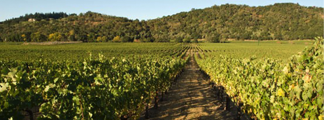 radio silence cabernet 2018 radio silence cabernet 2018