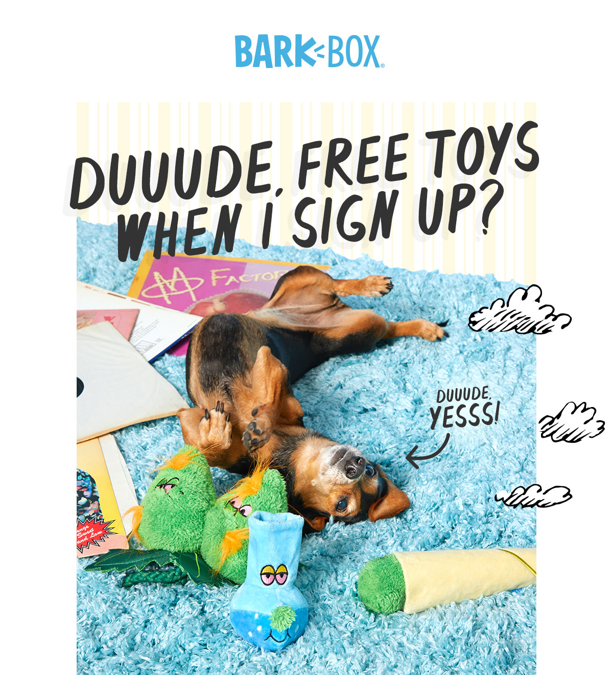 free toy barkbox